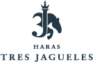 logo web